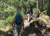 Camping Gardenia - Domaso