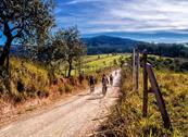 Elbadoc Camping Village - Rio Nell'Elba
