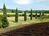 Fattoria Isola - Pergine Valdarno