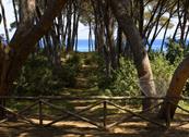 Tenuta delle Ripalte - Capoliveri