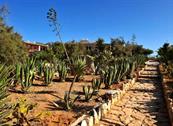 Cala Madonna Club - Lampedusa