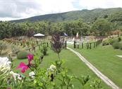 Agriturismo La Coccinella - Cortona