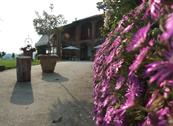 Tenuta Monvillone - Cereseto Monferrato