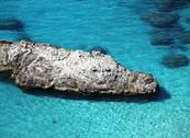 Eolo Hotel Residence - Ricadi