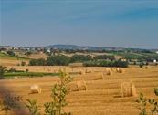 Il podere del germano Reale - Coriano