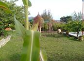 Agriturismo Zio Cristoforo - Casalvelino