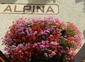 Hotel Alpina - Livigno