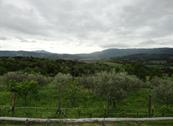 Agriturismo Corzano - Barberino di Mugello