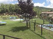 Agriturismo La Coccinella - Cortona