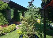 Beauty and Relax Maison Viso e sorriso - Mezzane di Sotto