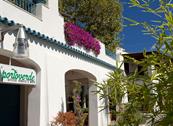 Portoverde Beach Apartments - Misano Adriatico