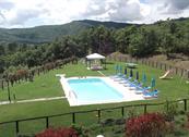 Agriturismo La Coccinella - Cortona
