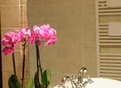 B & B i Leprotti - Abbiategrasso