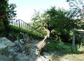 Cascina Bricchetto Langhe - Trezzo Tinella