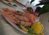Hotel Prater - Grottammare