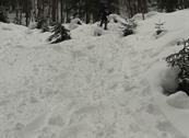 Baita Sagron Mis.Dolomiti - Sagron Mis
