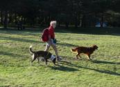Green Holiday - Appartamenti per Vacanza - Ledro