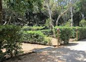 Elbadoc Camping Village - Rio Nell'Elba