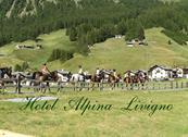 Hotel Alpina - Livigno