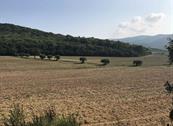 Sea In Tuscany - Grosseto