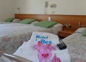 Hotel Rex - Misano Adriatico