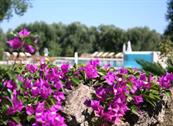 Tenuta Monacelli & Masseria Giampaolo - Lecce