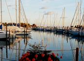 Hotel Aurora - Eraclea Mare