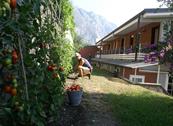 Hotel Riviera - Limone sul Garda