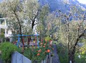 Hotel Riviera - Limone sul Garda