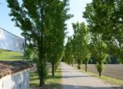 Monferrato Resort - Cereseto Monferrato