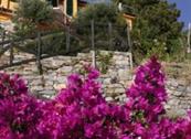 Il Borgo di Campi  - Riomaggiore