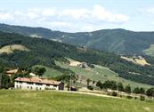 Agriturismo Prato Grande - Loiano
