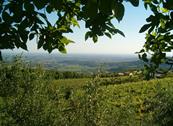 Agriturismo la Perlara - Verona