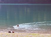 Green Holiday - Appartamenti per Vacanza - Ledro