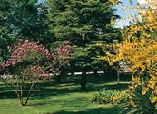 Hotel Tritone Terme - Abano Terme