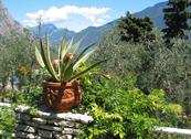 Hotel Riviera - Limone sul Garda