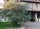 Monferrato Resort - Cereseto Monferrato