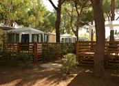 Giannella Camping  - Orbetello