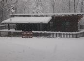 Appartamenti Chalet Moyra - Porlezza