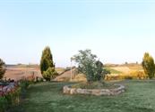 Monferrato Resort - Cereseto Monferrato