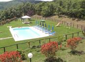 Agriturismo La Coccinella - Cortona