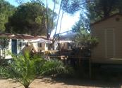 Giannella Camping  - Orbetello