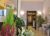 Hotel Albachiara - Viareggio