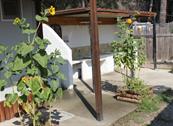 Camping Mare Azzurro - Cropani Marina