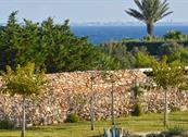 Casa Faro Favignana - Favignana
