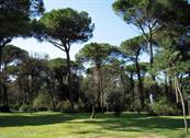 Hotel Sahara - Milano Marittima