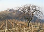 Cascina Bricchetto Langhe - Trezzo Tinella