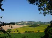 B&B Timeout - Polverigi
