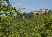 Borghetto Poggio Bianco - Radicondoli