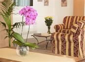 Agriturismo Ae Cavane - Codevigo